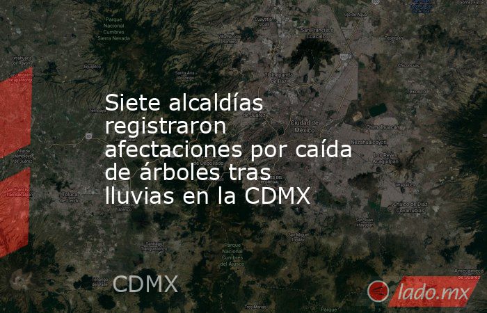 Siete alcaldías registraron afectaciones por caída de árboles tras lluvias en la CDMX. Noticias en tiempo real