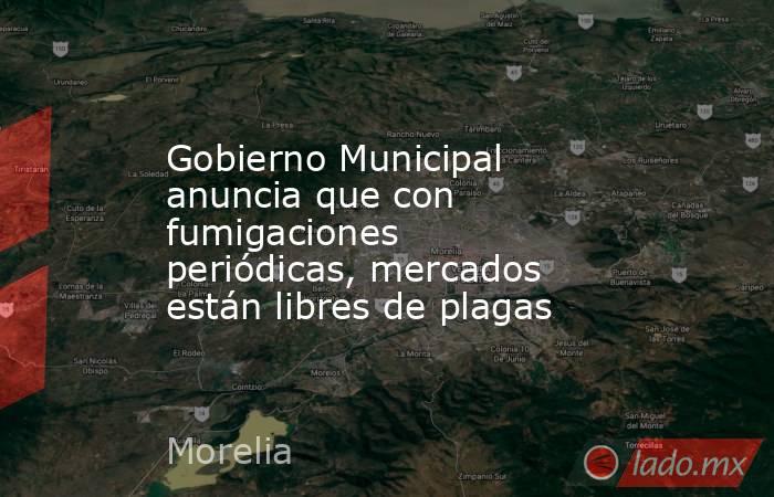 Gobierno Municipal anuncia que con fumigaciones periódicas, mercados están libres de plagas. Noticias en tiempo real