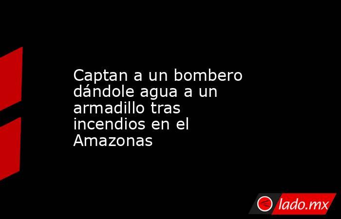 Captan a un bombero dándole agua a un armadillo tras incendios en el Amazonas. Noticias en tiempo real