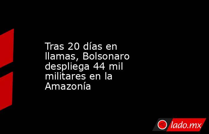 Tras 20 días en llamas, Bolsonaro despliega 44 mil militares en la Amazonía. Noticias en tiempo real