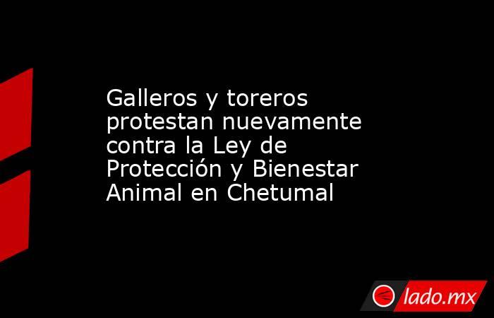 Galleros y toreros protestan nuevamente contra la Ley de Protección y Bienestar Animal en Chetumal. Noticias en tiempo real