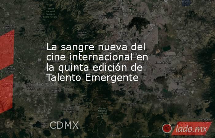La sangre nueva del cine internacional en la quinta edición de Talento Emergente. Noticias en tiempo real