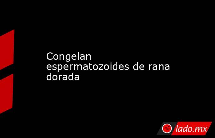 Congelan espermatozoides de rana dorada. Noticias en tiempo real