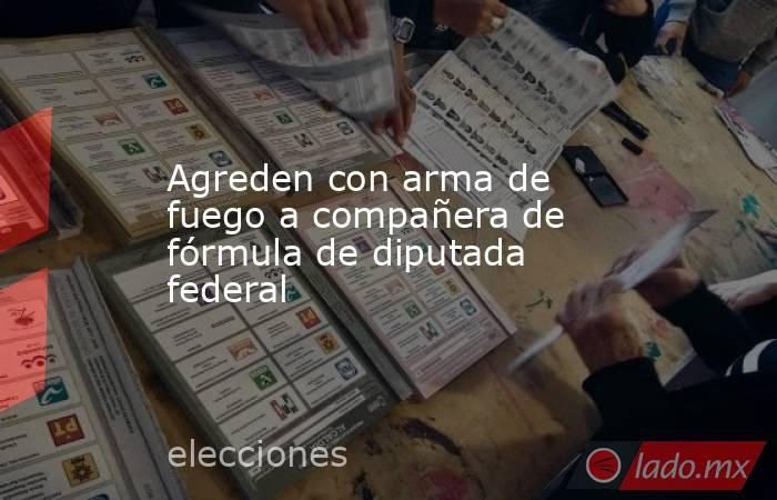 Agreden con arma de fuego a compañera de fórmula de diputada federal. Noticias en tiempo real