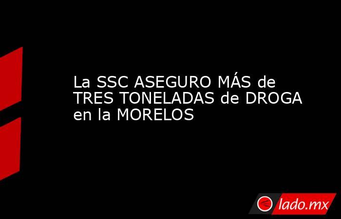 La SSC ASEGURO MÁS de TRES TONELADAS de DROGA en la MORELOS. Noticias en tiempo real
