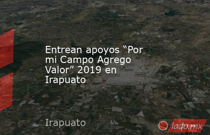 Entrean apoyos “Por mi Campo Agrego Valor” 2019 en Irapuato. Noticias en tiempo real