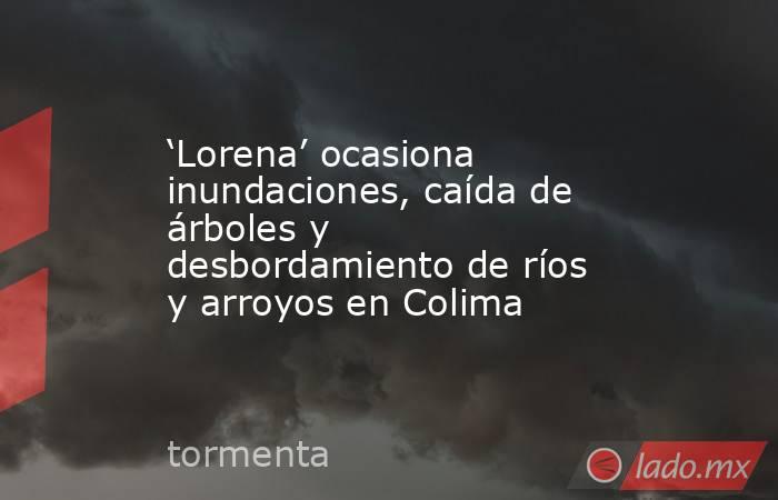 ‘Lorena’ ocasiona inundaciones, caída de árboles y desbordamiento de ríos y arroyos en Colima. Noticias en tiempo real