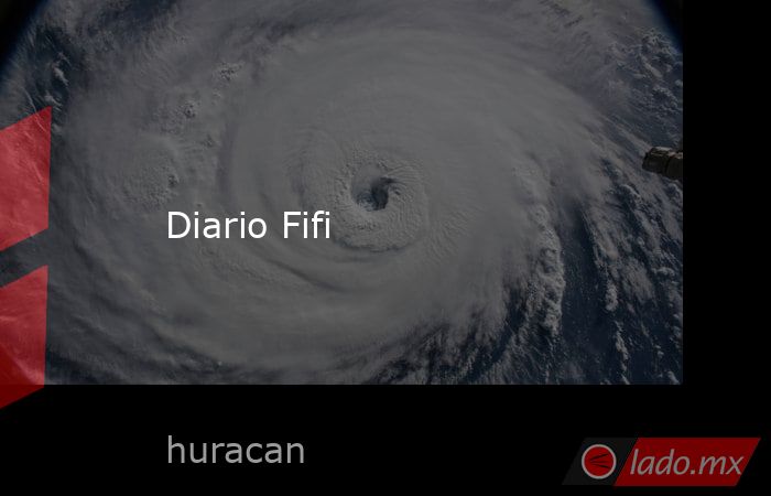 Diario Fifi. Noticias en tiempo real