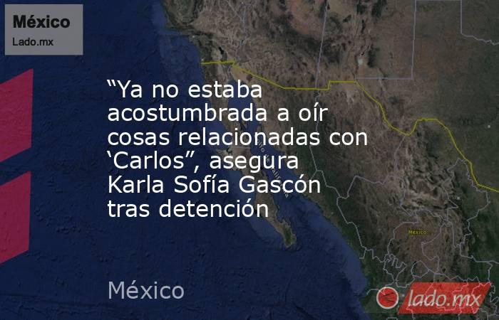 “Ya no estaba acostumbrada a oír cosas relacionadas con ‘Carlos”, asegura Karla Sofía Gascón tras detención. Noticias en tiempo real