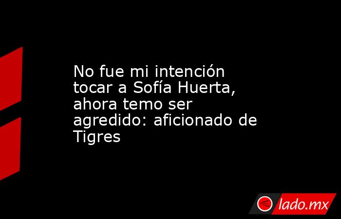 No fue mi intención tocar a Sofía Huerta, ahora temo ser agredido: aficionado de Tigres. Noticias en tiempo real
