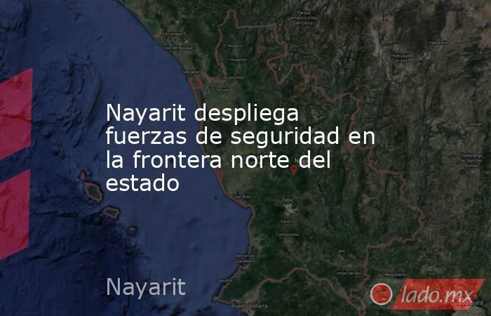 Nayarit despliega fuerzas de seguridad en la frontera norte del estado. Noticias en tiempo real