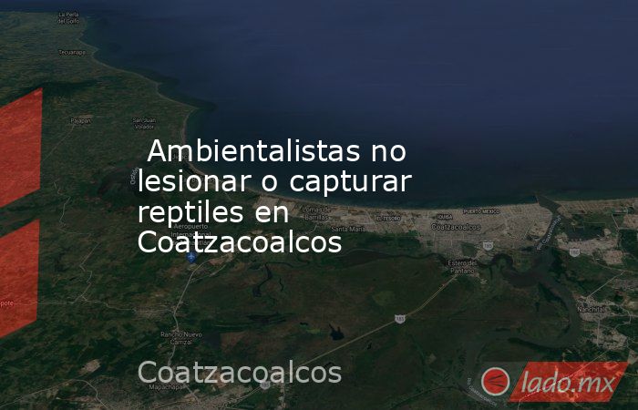  Ambientalistas no lesionar o capturar reptiles en Coatzacoalcos. Noticias en tiempo real