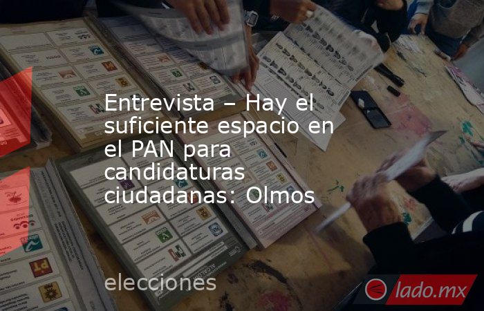 Entrevista – Hay el suficiente espacio en el PAN para candidaturas ciudadanas: Olmos. Noticias en tiempo real