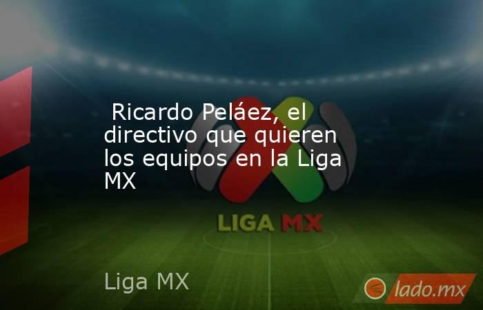  Ricardo Peláez, el directivo que quieren los equipos en la Liga MX. Noticias en tiempo real