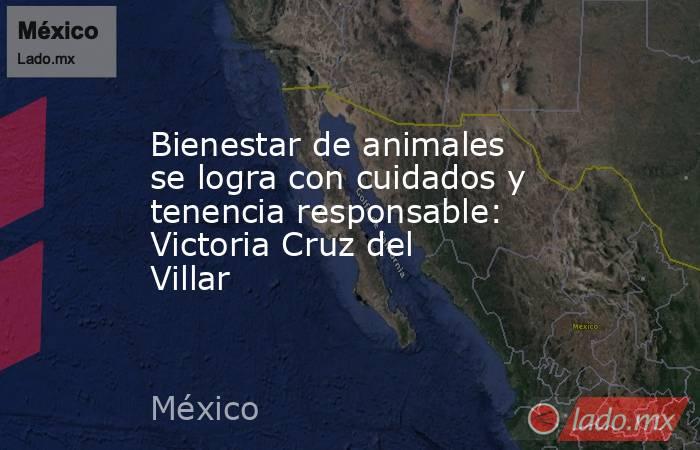 Bienestar de animales se logra con cuidados y tenencia responsable: Victoria Cruz del Villar. Noticias en tiempo real
