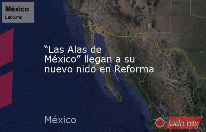 “Las Alas de México” llegan a su nuevo nido en Reforma. Noticias en tiempo real