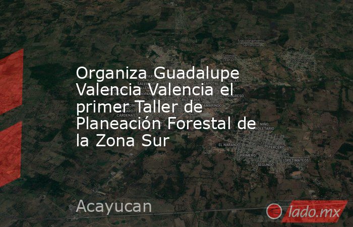 Organiza Guadalupe Valencia Valencia el primer Taller de Planeación Forestal de la Zona Sur. Noticias en tiempo real