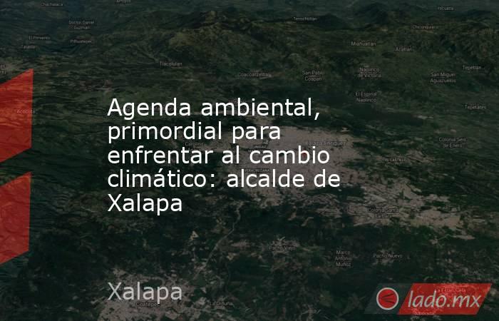 Agenda ambiental, primordial para  enfrentar al cambio climático: alcalde de Xalapa. Noticias en tiempo real