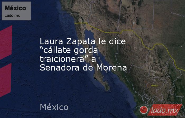 Laura Zapata le dice “cállate gorda traicionera” a Senadora de Morena. Noticias en tiempo real