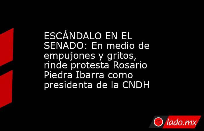 ESCÁNDALO EN EL SENADO: En medio de empujones y gritos, rinde protesta Rosario Piedra Ibarra como presidenta de la CNDH. Noticias en tiempo real