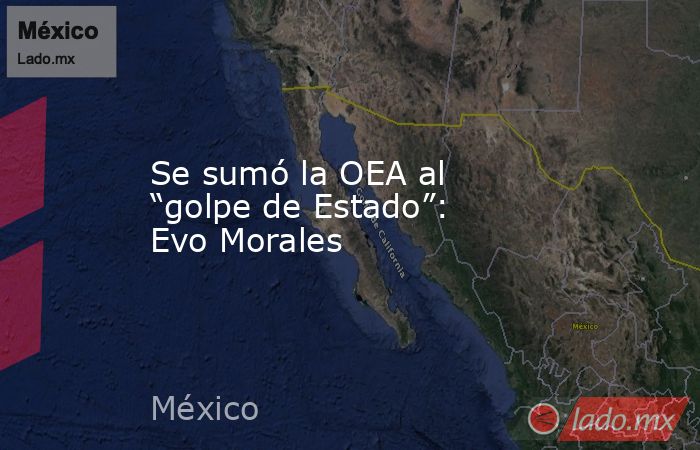Se sumó la OEA al “golpe de Estado”: Evo Morales. Noticias en tiempo real