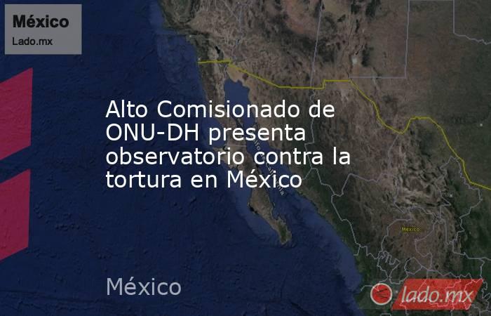 Alto Comisionado de ONU-DH presenta observatorio contra la tortura en México. Noticias en tiempo real