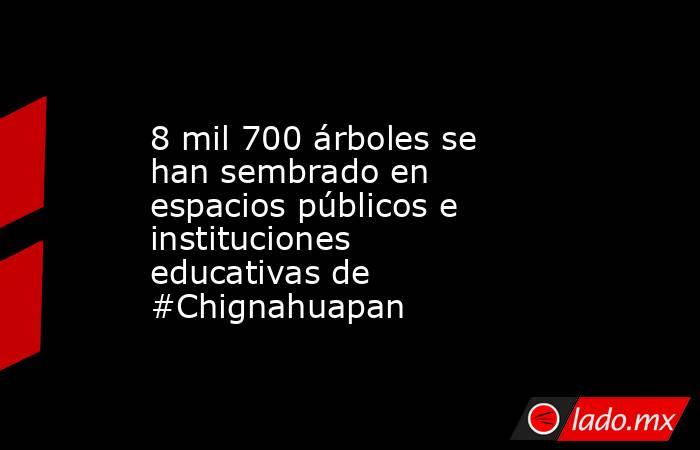 8 mil 700 árboles se han sembrado en espacios públicos e instituciones educativas de #Chignahuapan. Noticias en tiempo real