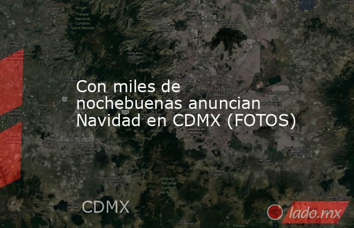 Con miles de nochebuenas anuncian Navidad en CDMX (FOTOS). Noticias en tiempo real