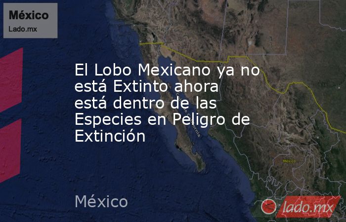El Lobo Mexicano ya no está Extinto ahora está dentro de las Especies en Peligro de Extinción. Noticias en tiempo real
