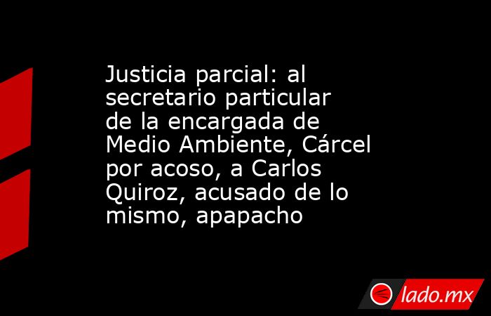 Justicia parcial: al secretario particular de la encargada de Medio Ambiente, Cárcel por acoso, a Carlos Quiroz, acusado de lo mismo, apapacho. Noticias en tiempo real