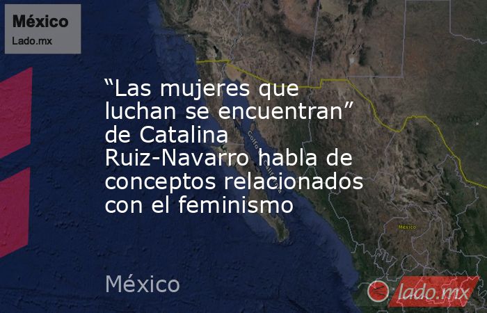 “Las mujeres que luchan se encuentran” de Catalina Ruiz-Navarro habla de conceptos relacionados con el feminismo. Noticias en tiempo real