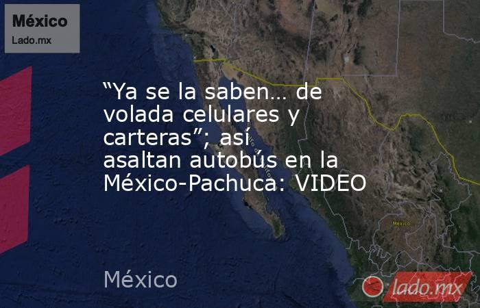 “Ya se la saben… de volada celulares y carteras”; así asaltan autobús en la México-Pachuca: VIDEO. Noticias en tiempo real