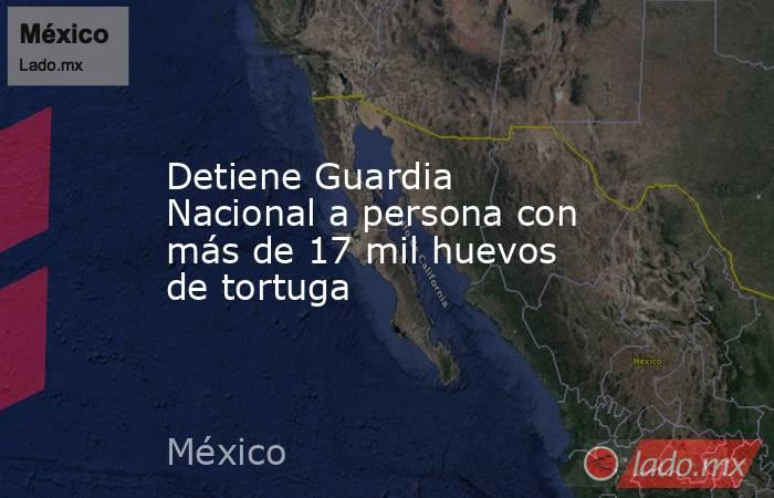 Detiene Guardia Nacional a persona con más de 17 mil huevos de tortuga. Noticias en tiempo real