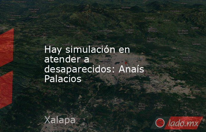 Hay simulación en atender a desaparecidos: Anaís Palacios. Noticias en tiempo real