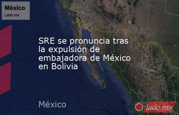 SRE se pronuncia tras la expulsión de embajadora de México en Bolivia. Noticias en tiempo real