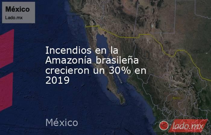 Incendios en la Amazonía brasileña crecieron un 30% en 2019. Noticias en tiempo real