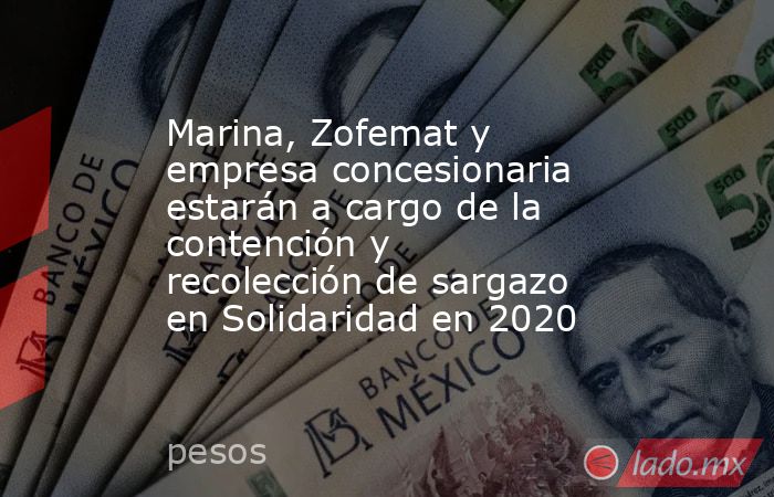 Marina, Zofemat y empresa concesionaria estarán a cargo de la contención y recolección de sargazo en Solidaridad en 2020. Noticias en tiempo real