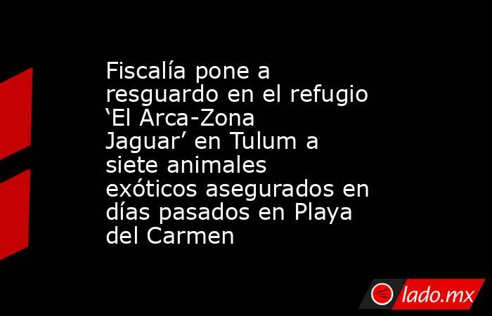 Fiscalía pone a resguardo en el refugio ‘El Arca-Zona Jaguar’ en Tulum a siete animales exóticos asegurados en días pasados en Playa del Carmen. Noticias en tiempo real