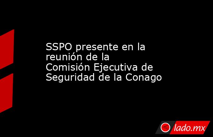 SSPO presente en la reunión de la Comisión Ejecutiva de Seguridad de la Conago. Noticias en tiempo real