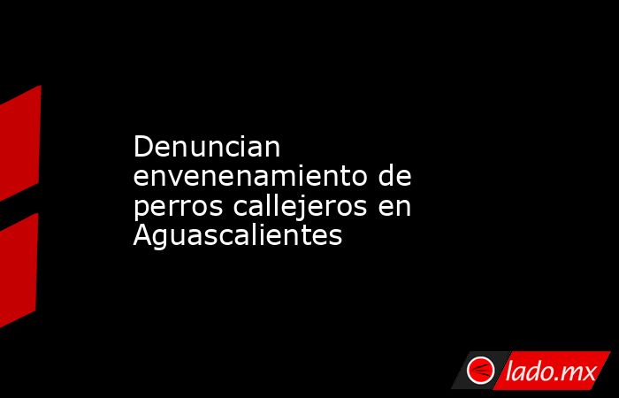 Denuncian envenenamiento de perros callejeros en Aguascalientes. Noticias en tiempo real