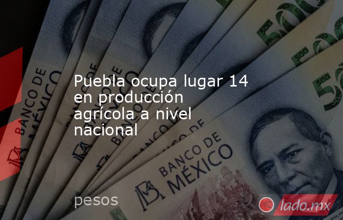 Puebla ocupa lugar 14 en producción agrícola a nivel nacional. Noticias en tiempo real