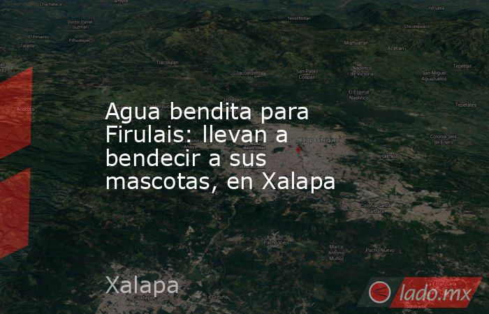 Agua bendita para Firulais: llevan a bendecir a sus mascotas, en Xalapa. Noticias en tiempo real