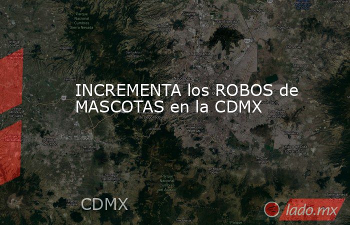 INCREMENTA los ROBOS de MASCOTAS en la CDMX. Noticias en tiempo real