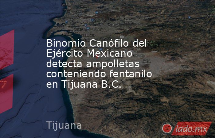 Binomio Canófilo del Ejército Mexicano detecta ampolletas conteniendo fentanilo en Tijuana B.C.. Noticias en tiempo real