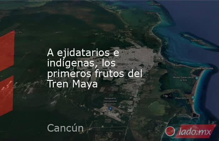 A ejidatarios e indígenas, los primeros frutos del Tren Maya. Noticias en tiempo real