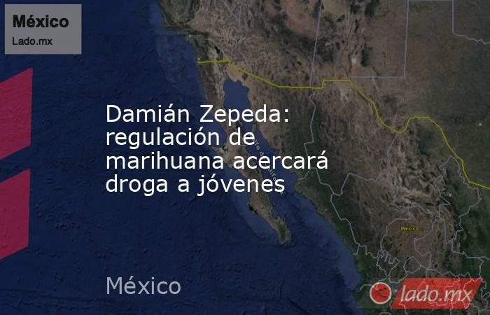 Damián Zepeda: regulación de marihuana acercará droga a jóvenes. Noticias en tiempo real