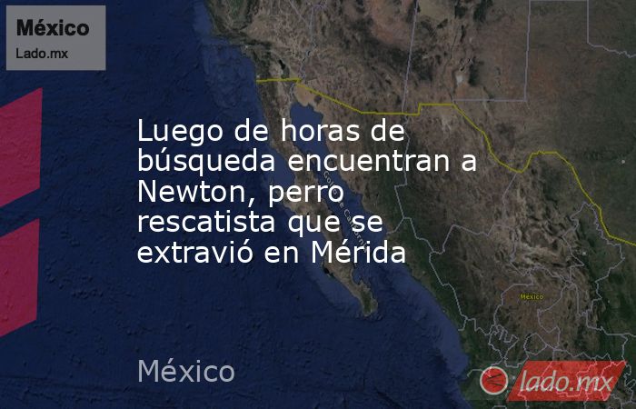Luego de horas de búsqueda encuentran a Newton, perro rescatista que se extravió en Mérida. Noticias en tiempo real