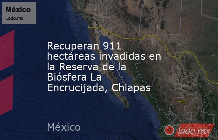 Recuperan 911 hectáreas invadidas en la Reserva de la Biósfera La Encrucijada, Chiapas. Noticias en tiempo real