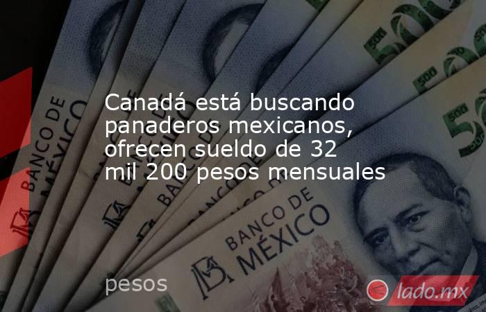 Canadá está buscando panaderos mexicanos, ofrecen sueldo de 32 mil 200 pesos mensuales. Noticias en tiempo real
