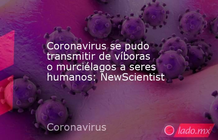 Coronavirus se pudo transmitir de víboras o murciélagos a seres humanos: NewScientist. Noticias en tiempo real